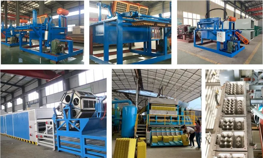Low Investment Waste Paper Pulp Moulding Plant Small Egg Tray Making Machine for Sale
