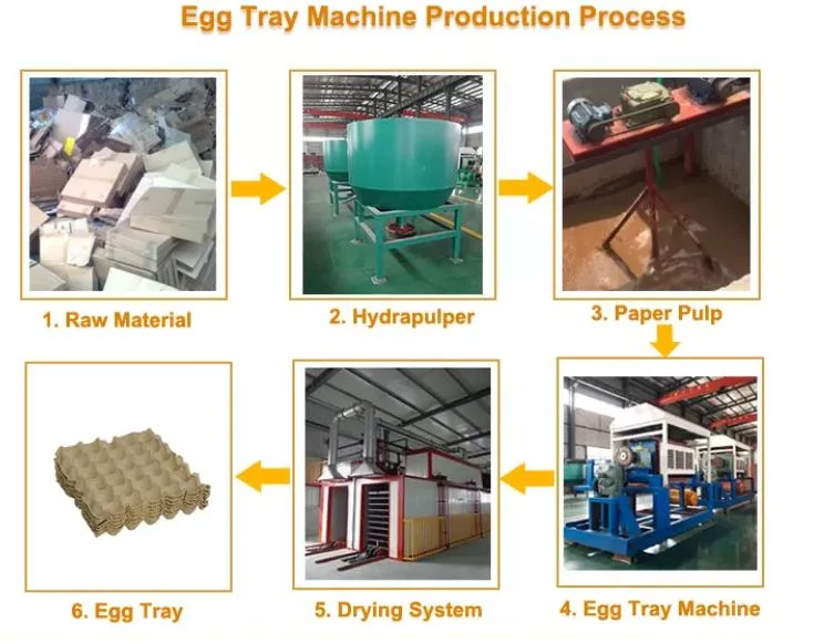 Carton Box Egg Tray Making Machine Price