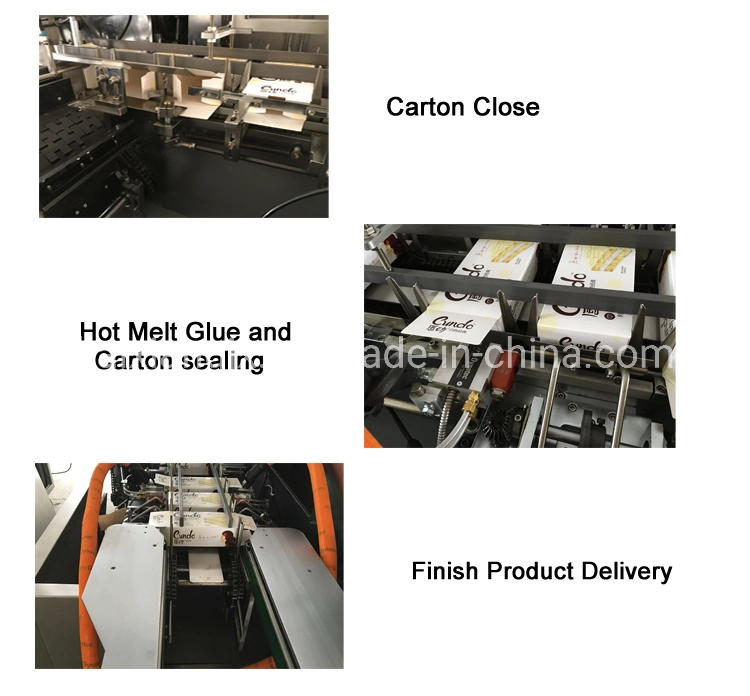 Auotmatic Chocolate/Ice Cream/Coffer/Noodles/Corn Flake/Spices Packet/Dumpling/Egg Roll Cartoning Carton Packing Box Packing Packaging Cartoner Machine