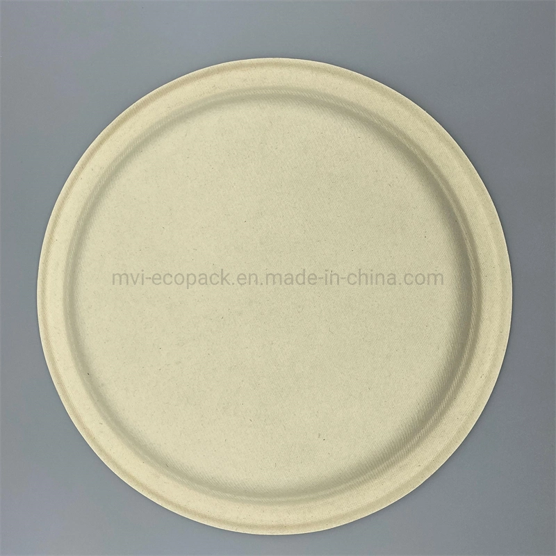 Eco-Friendly Tableware 10 Inch Disposable Wheat Straw Pulp Dinner Plate