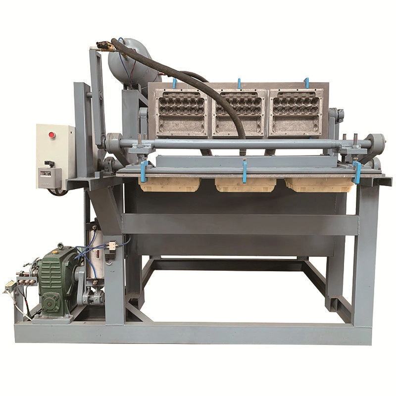 Egg Tray Waste Paper Pulp Molding Making Machine From PP Plastic
