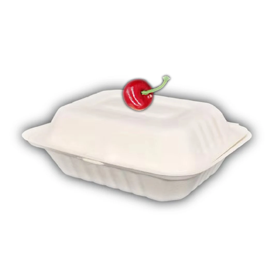 6.5&quot;X5&quot; Clamshell Biodegradable Compostable Paper Pulp Tableware Bagasse