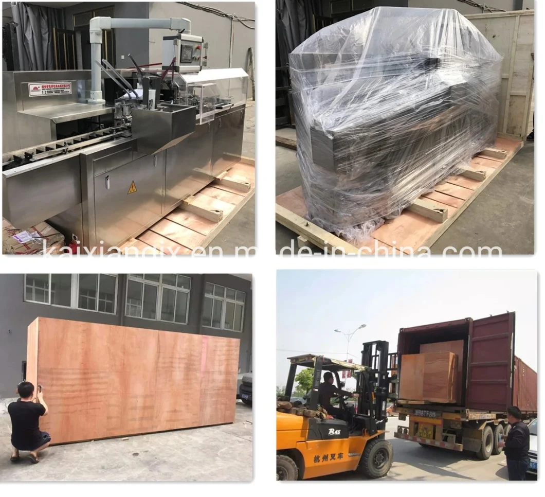 Auotmatic Chocolate/Ice Cream/Coffer/Noodles/Corn Flake/Spices Packet/Dumpling/Egg Roll Cartoning Carton Packing Box Packing Packaging Cartoner Machine