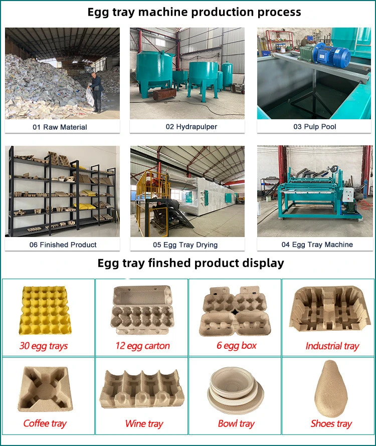 Apple Fruit Tray Egg Packaging Box Carton Making Machines Recycle Paper Pulp Molding Manufacturing Machine