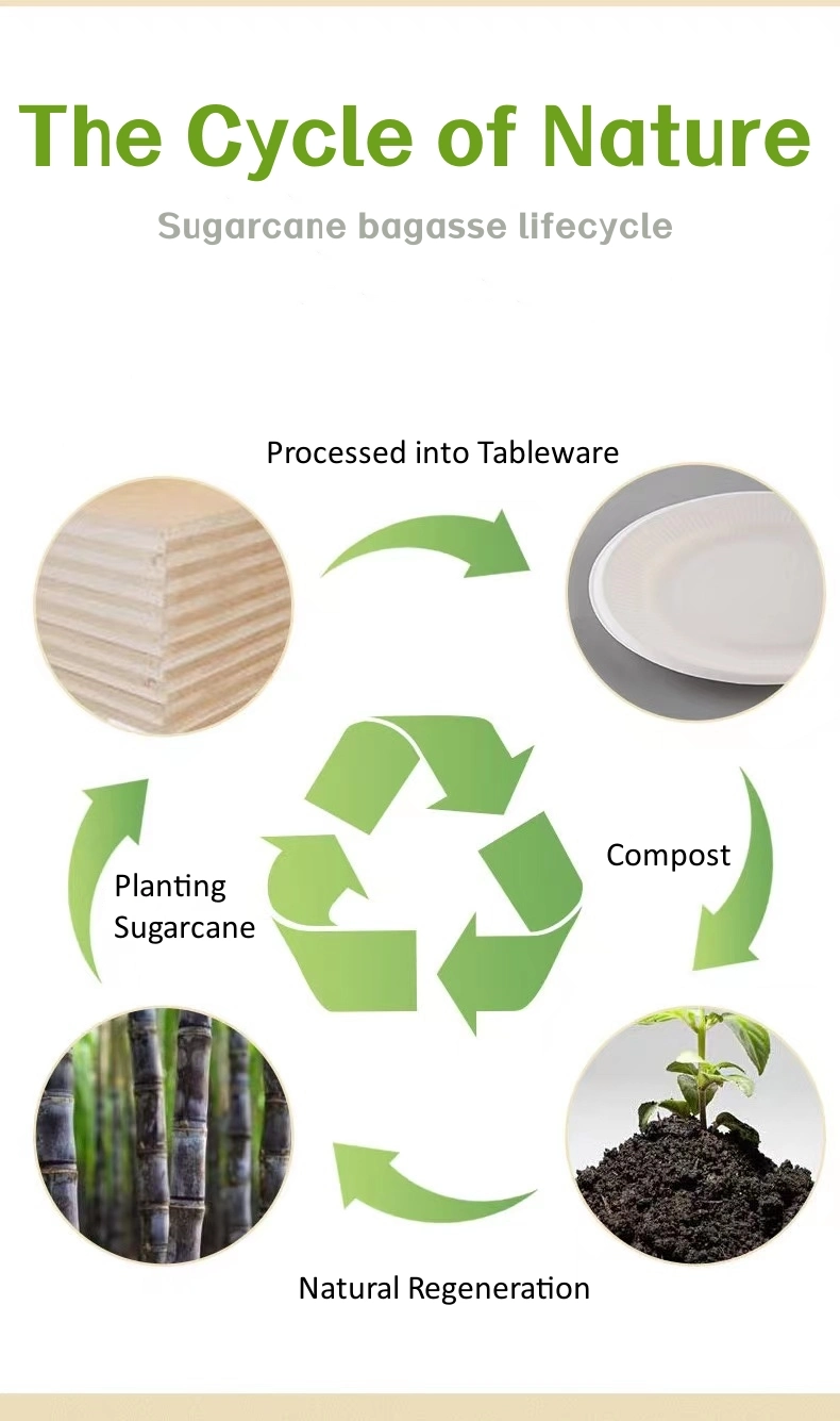 Disposable Sugarcane Pulp Rectangular Food Tray Eco Friendly Tableware