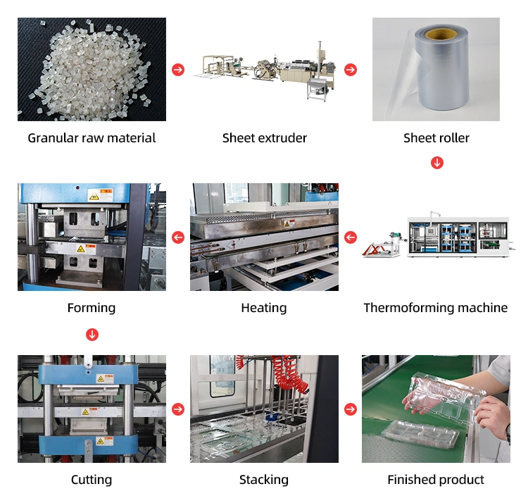 Fully Automatic Plastic Egg Tray Molding Thermoforming Machine Price