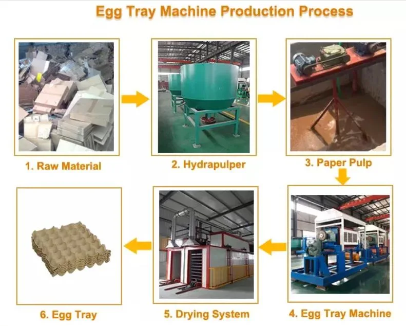 Pulp Egg Tray Machine