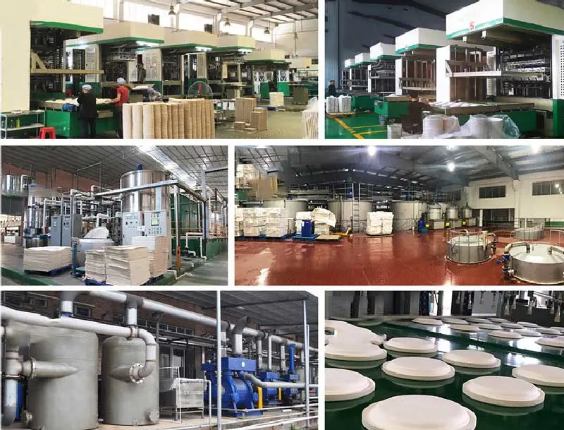 Disposable High Quality Biodegradable Good Quality Paper Bagasse Tableware Servo System Paper Molding Machine