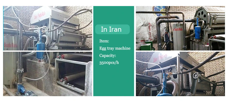 Polyhedron High Efficiency Rotary Paper Egg Tray Carton Machine Price