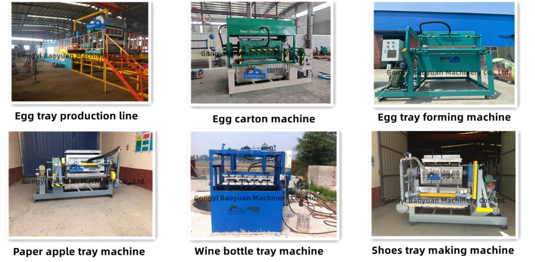 Apple Fruit Tray Egg Packaging Box Carton Making Machines Recycle Paper Pulp Molding Manufacturing Machine
