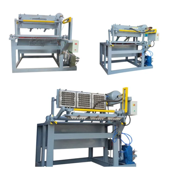 Low Investment Waste Paper Pulp Moulding Plant Small Egg Tray Making Machine for Sale