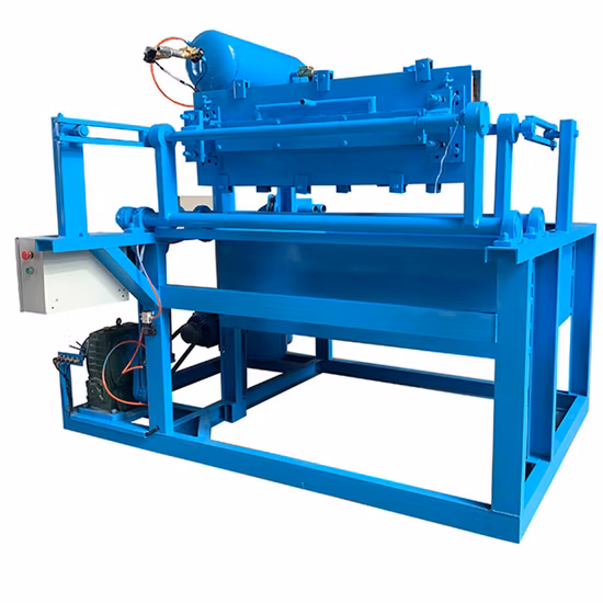 Egg Tray Waste Paper Pulp Molding Making Machine From PP Plastic