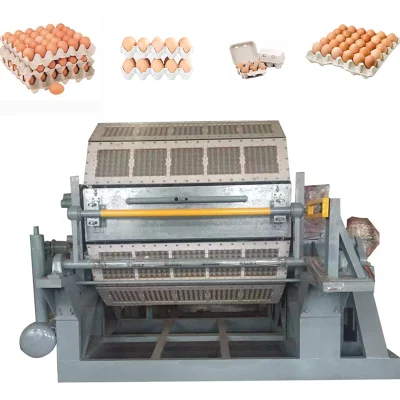 Polyhedron High Efficiency Rotary Paper Egg Tray Carton Machine Price