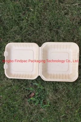 Eco-Friendly Biodegradable Disposable Wheat Straw Fiber Plant Pulp Takeaway Boxes Tableware Wheat Fiber Pulp