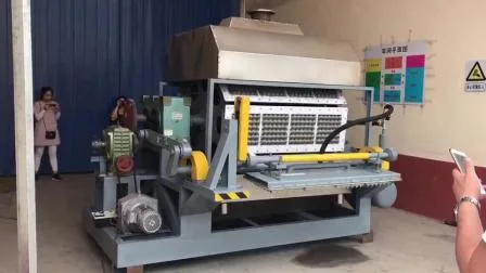 Super Quality Automatic Paper Pulp Egg Tray Mould Machine