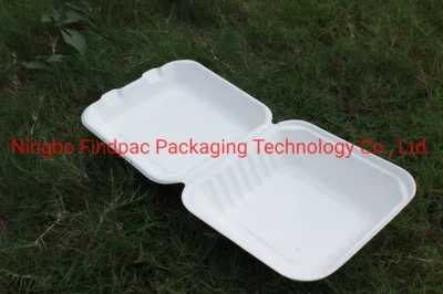 100% Eco Friendly Bento Lunch Box Disposable Biodegradable Clamshell Food Containers Sugarcane Bagasse Pulp Tableware