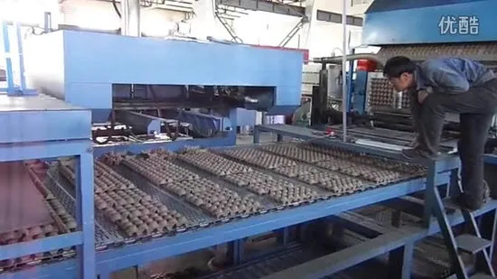 Waste Paper Recycing Automatic Carton Making Egg Tray Machine