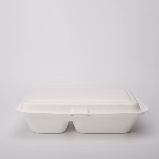 Disposable Tableware Sugarcane Bagasse Food Box 100% Compostable Pulp Tableware Biodegradable Cutlery Takeaway Food Containers