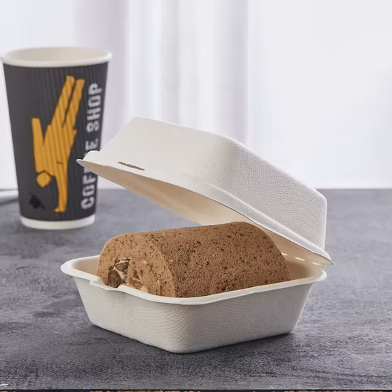 Biodegradable Sugarcane Bagasse Paper Tableware Pulp Molding Machine Fully Automatic Production Line