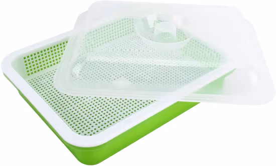 Thermoforming Mold Flat Tray Seed Starter Injection Mold Hydroponic Trays Mold