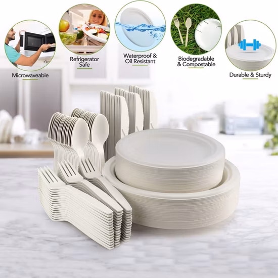 Customized Green Fast Food Tray Pulp Tableware 9 Inch 100% Compostable Biodegradable Disposable Bagasse Sugarcane Paper Plates