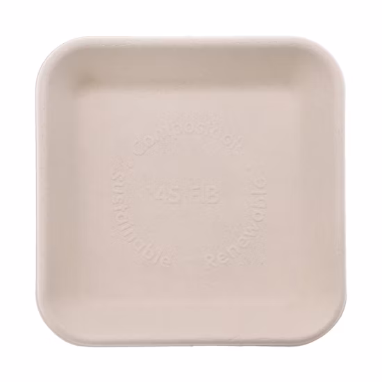 Disposable Sugarcane Pulp Rectangular Food Tray Eco Friendly Tableware